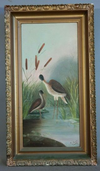 Antique Edwardian Era Shore Birds Old Waters Edge Waterfowl Hunt Lodge Painting
