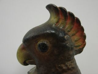 Antique Hubley Cast Iron Cockatoo on a Perch Door Stop 5