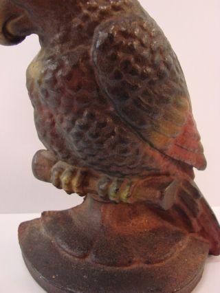 Antique Hubley Cast Iron Cockatoo on a Perch Door Stop 6