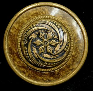 Fabulous Large Antique Metal Button Victorian Celluloid W Brass L1