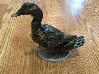 Vintage Rosenthal Porcelain Mallard Ducks