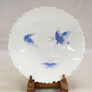 G952: Rare,  Japanese Really Old Hirado Porcelain Flower - Shaped Plate W/butterfly