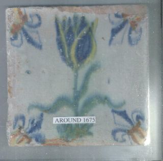 Antique Dutch Delft Tulip Tile Around 1675