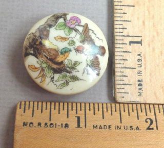 Porcelain Antique Button,  Bird Feeding Baby In Nest,  Painted Detail,  Large