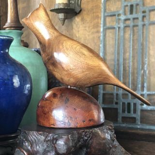 Vtg Mcm Evelyn Yonkin Carved Wood Folk Art Bird Lancaster County Pa Pine Walnut