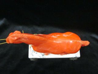 Rare Red Horse on Cart Celluloid Pull Toy 1940 ' s 5
