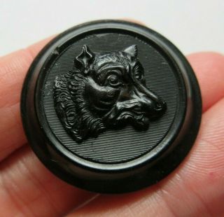 Outstanding Large Antique Vtg Carved Horn Picture Button Wolf Dog 1 - 1/4 " (s)