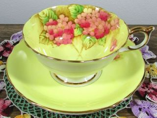 Paragon Pink Hydrangea Bright Yellow Floral Tea Cup & Saucer