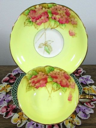 PARAGON PINK HYDRANGEA BRIGHT YELLOW FLORAL TEA CUP & SAUCER 2