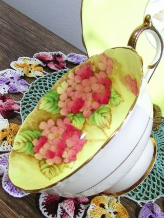 PARAGON PINK HYDRANGEA BRIGHT YELLOW FLORAL TEA CUP & SAUCER 5