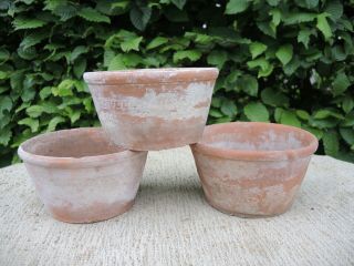 3 Old Sankey Bulwell Hand Thrown Half Height Terracotta Plant Pots 5.  5 " (2)