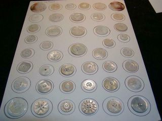Vintage & Antique Buttons - 43 Mother Of Pearl Buttons Carved Designs