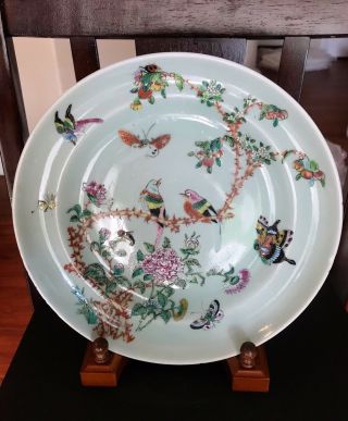 Antique Chinese Celadon Famille Rose Porcelain Plate