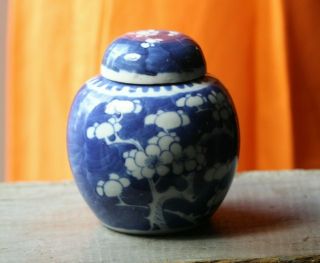Small Antique Chinese Blue & White Plum Blossoms Prunus Ginger Jar Double Rings