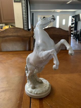 Hutschenreuther Selb figurine Stallion.  Signed by K.  Tutter 2