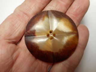 Large Blonde Or Honey Natural Horn Antique Button 1 - 3/4 "