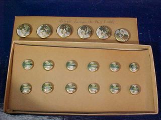 Early 20thc 18 Japanese Satsuma Buttons