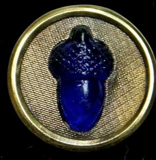 Antique Victorian Metal Button Cobalt Blue Acorn In Brass Ome A