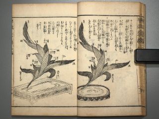 Ikebana Hayamanabi Vol.  6 Flower Arrangement Japanese Woodblock Print Book Edo