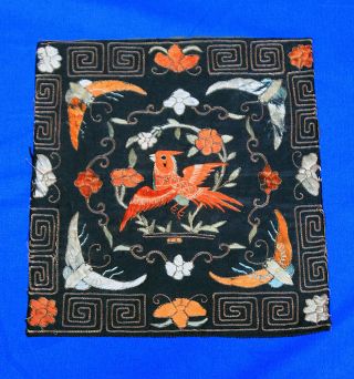 Antique Chinese Hand Embroidered Silk Panel W/ Birds & Dragonflies 10 " X 11 "