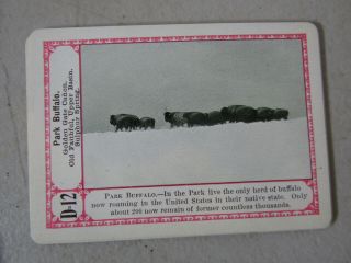 GAME OF YELLOWSTONE No.  1122 VERY EARLY GORGEOUS CARD GAME - BUFFALO 7
