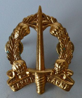 South Africa Military Police Mp Provost Vintage African Type 1 Brass Cap Badge