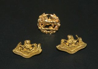 Rhodesian Bush War Bsap Collar Badges