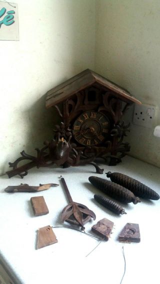 Large Antique 1880s Black Forest Cuckoo Clock - Ghs - Gordian Hettich Sohne -