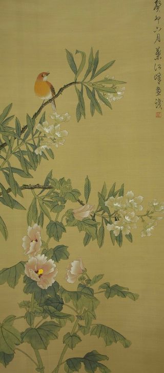 掛軸1967 Chinese Hanging Scroll " Flower And Bird " @b978