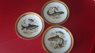 3 Antique French Fish Oyster Plate 1940 Chastagner Porcelain Limoge