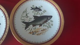 3 Antique French Fish Oyster Plate 1940 CHASTAGNER Porcelain Limoge 3