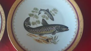 3 Antique French Fish Oyster Plate 1940 CHASTAGNER Porcelain Limoge 4