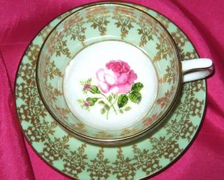 Windsor Bone China Tea Cup And Saucer Pink Rose Lime Gold Gilt