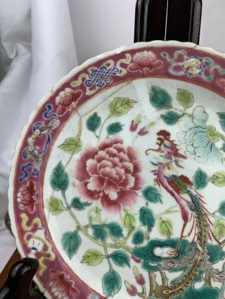 Chinese Famille Rose Porcelain Nyonya Straits Phoenix Plate 19th C 5