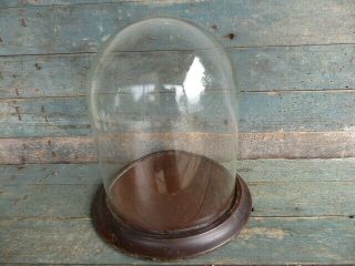 Antique Glass Display Dome Cloche Taxidermy Mahogany Wood Base 8 Inch Glass Dia.