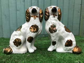 Interesting Pair: 19thc Staffordshire Copper Lustre & White Spaniel Dogs C1880s