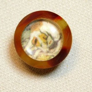 SMALL Antique Vintage BUTTON Dog Print in Marble Celluloid G1 2