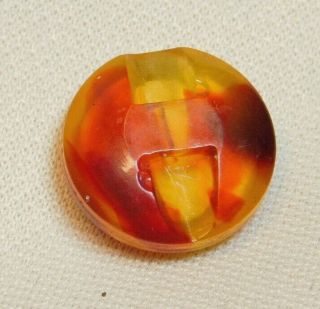 SMALL Antique Vintage BUTTON Dog Print in Marble Celluloid G1 3
