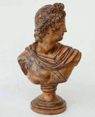 Vintage Chalkware Plaster Detailed Bust Of A Classical Figure14 " Tall 1992