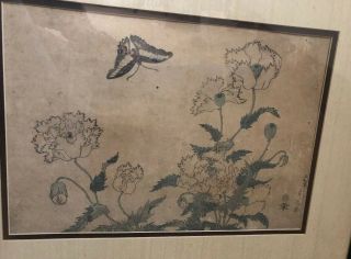 Antique Japanese Woodblock Print Edo Butterfly Floral Botanical Circa 1800