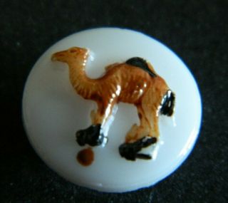 Vintage Kiddie Glass Button W A Camelpainted Raised Relief
