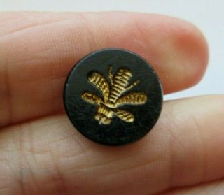 Antique Vtg Victorian Black Glass Button Gold Luster Bee Insect (l)