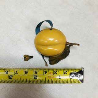 Antique Celluloid Figural Tape Measure Plum With Fly Insect Rare