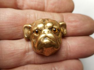 Wrinkle Dog Head W/ Amber Glass Eyes Brass Vintage Button 1 - 1/8 " Bulldog?