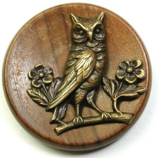 Lg Sz Antique Wood Button With Brass Owl Perched On Branch Escutcheon - 1 & 1/4 "