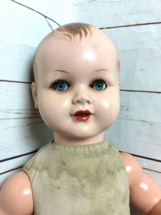 Antique Celluloid Doll Celba Germany 22 " Glass Eyes Real Lashes Schoberl Becker