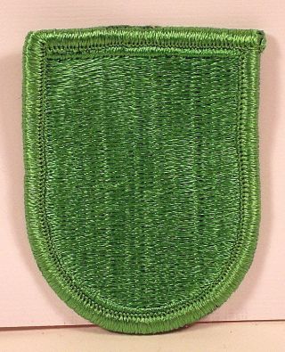 Us Army 10th Special Forces Group Beret Flash Patch Insignia Green Berets