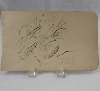 19th C Calligraphy Flourish Ink Drawing Of A Dove Dated 1885 & Artist Signed