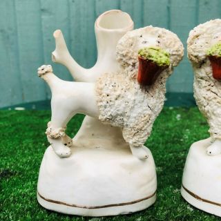 PAIR MID 19thC STAFFORDSHIRE POODLE DOGS WITH BASKETS,  SPILL VASES c1840s 2