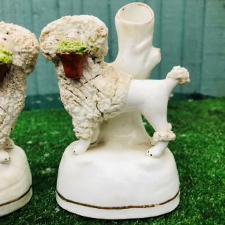 PAIR MID 19thC STAFFORDSHIRE POODLE DOGS WITH BASKETS,  SPILL VASES c1840s 3